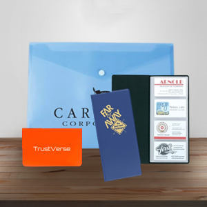 Vinyl Portfolios & Cases